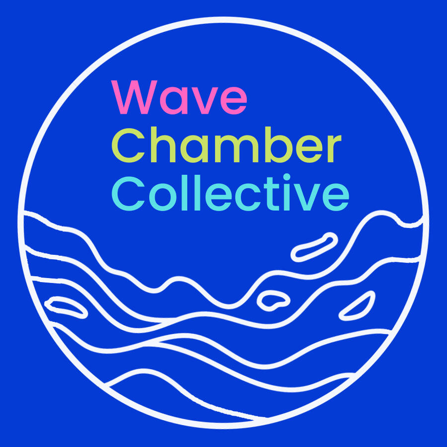 Wave Chamber Collective crafts immersive string quartet performances to spark imagination and inspire creativity. Click to learn more