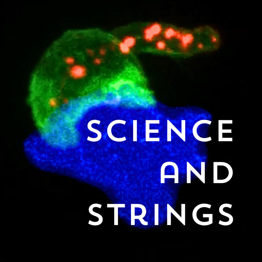 Science and Strings brings us into the fantastic world of our own cells.